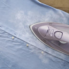 Ferro de Passar a Vapor e Seco Electrolux Cinza 110/220v